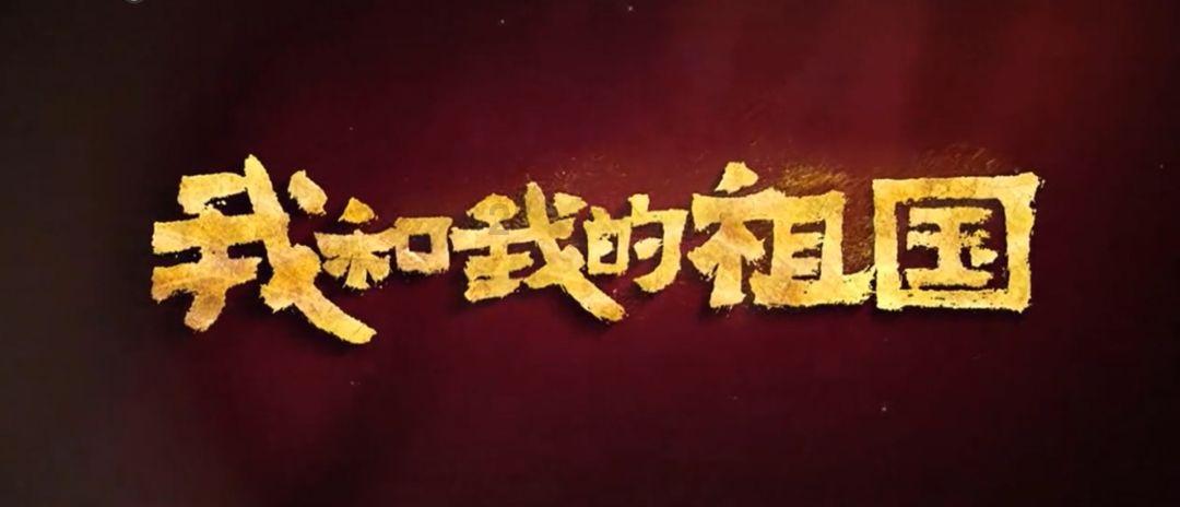 拯救受伤的猫