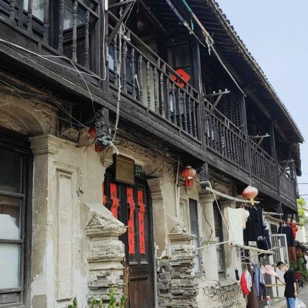 动物帮帮忙保卫家园